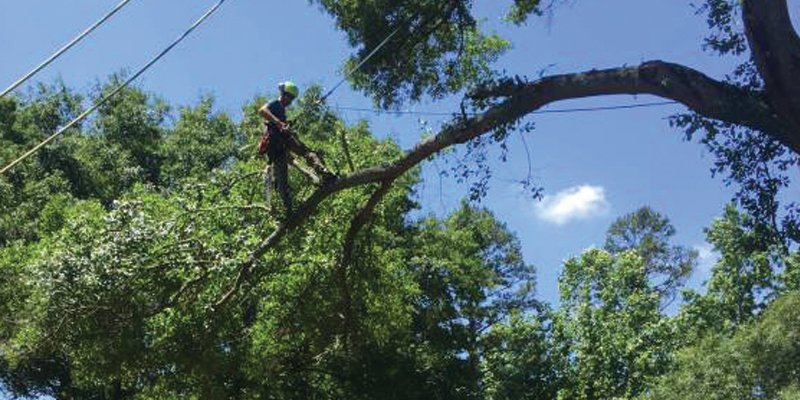 Storm Damage